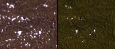 PIA12853: Ice Around Phoenix Lander Continues to Lessen in Spring