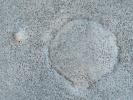 PIA12990: Boulder Strewn Plain in Northern Utopia Planitia