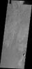 PIA13350: Utopia Planitia