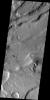 PIA13355: Tempe Terra