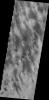 PIA14483: Dust Devil Tracks