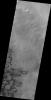 PIA14768: Darwin Crater Dunes