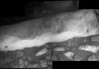 PIA15035: Close-up View of 'Homestake' Vein