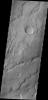 PIA15396: Tharsis Flows