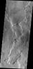 PIA15438: Tempe Terra