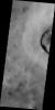 PIA15921: Dust Devil Tracks