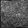 PIA16139: Puzzling Little Martian Spheres That Don't Taste Like 'Blueberries'