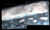 PIA16444: 'Homestake' Vein on 'Cape York,' Color Enhanced