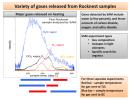 PIA16573: Heating Martian Sand Grains