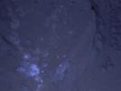 PIA16712: MAHLI's First Night Imaging of Martian Rock Under Ultraviolet Lighting