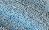 PIA17629: Martian Glaciers and Brain Terrain