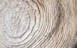 PIA17630: Layers, Bedrock Ridges, and Dark Sand in Schiaparelli Crater