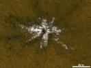 PIA17750: Mars Orbiter Laser Altimeter, Thermal Emission Imaging System