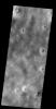 PIA17964: Dust Devil Tracks