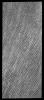 PIA17967: North Polar Dunes