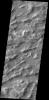 PIA18236: Lycus Sulci