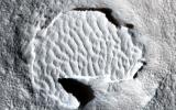 PIA18890: Hardened Dunes in Arcadia Planitia