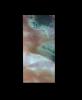 PIA19033: North Polar Cap - False Color