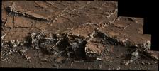 PIA19161: Prominent Veins at 'Garden City' on Mount Sharp, Mars