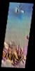 PIA19493: Ostrov Crater - False Color