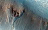 PIA19862: Gullies on the Wall of an Unnamed Crater in Utopia Planitia