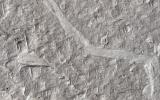 PIA20006: Fine-Branched Ridges