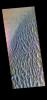 PIA20074: Proctor Crater Dunes - False Color