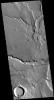 PIA20259: Tempe Terra