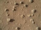 PIA20323: Nodules of Cemented Sand Grains Within Martian Sandstone