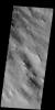 PIA21294: Dust Devil Tracks