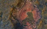 PIA21463: Layers and Dark Dunes