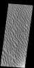 PIA21503: Proctor Crater Dunes