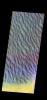 PIA21538: Proctor Crater Dunes - False Color