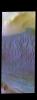 PIA24060: Dunes Near the South Pole - False Color