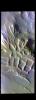 PIA24073: Angustus Labyrinthus - False Color