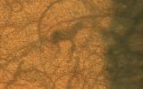 PIA24148: Dust Devil Dance