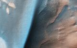 PIA24461: Bright and Dark Dunes