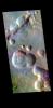 PIA24639: Arabia Terra - False Color