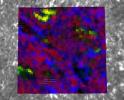 PIA24835: PIXL Image of Salts in Bellegarde