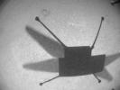 PIA24976: Ingenuity Captures Flight 14 Video