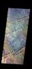 PIA25001: Sirenum Fossae - False Color