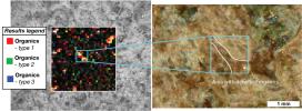 PIA25042: SHERLOC's View of Organics Within Garde Abrasion Patch